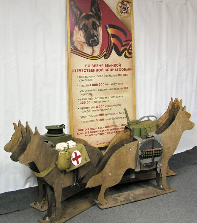Моделирование экспозиции к дню Победы 9 мая 2021 «Применение собак в годы войны»